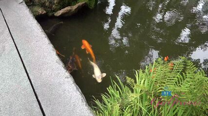 POV Teen Date With Skyline